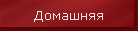 Домашняя